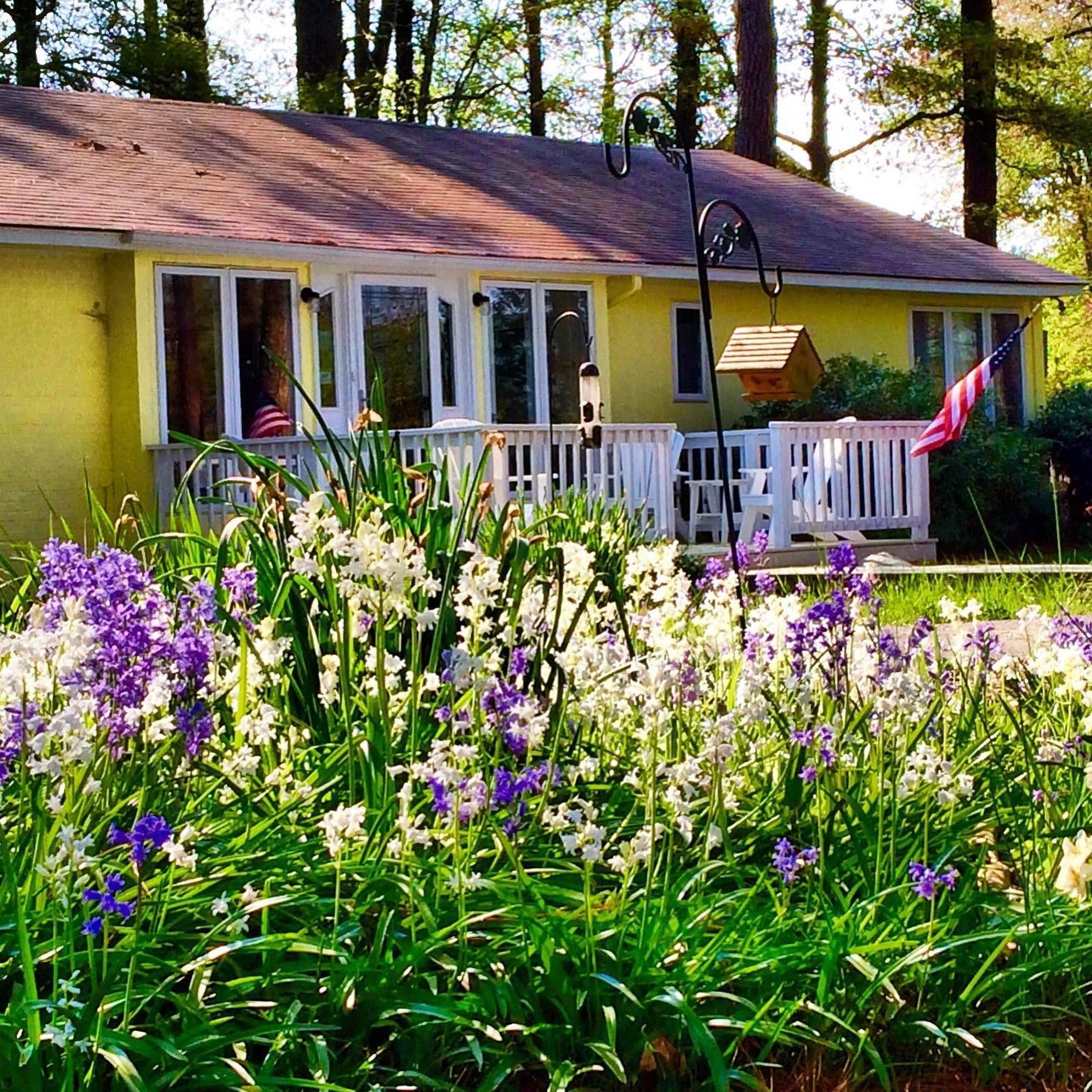 Meris Gardens B&B Bethany Beach Bagian luar foto