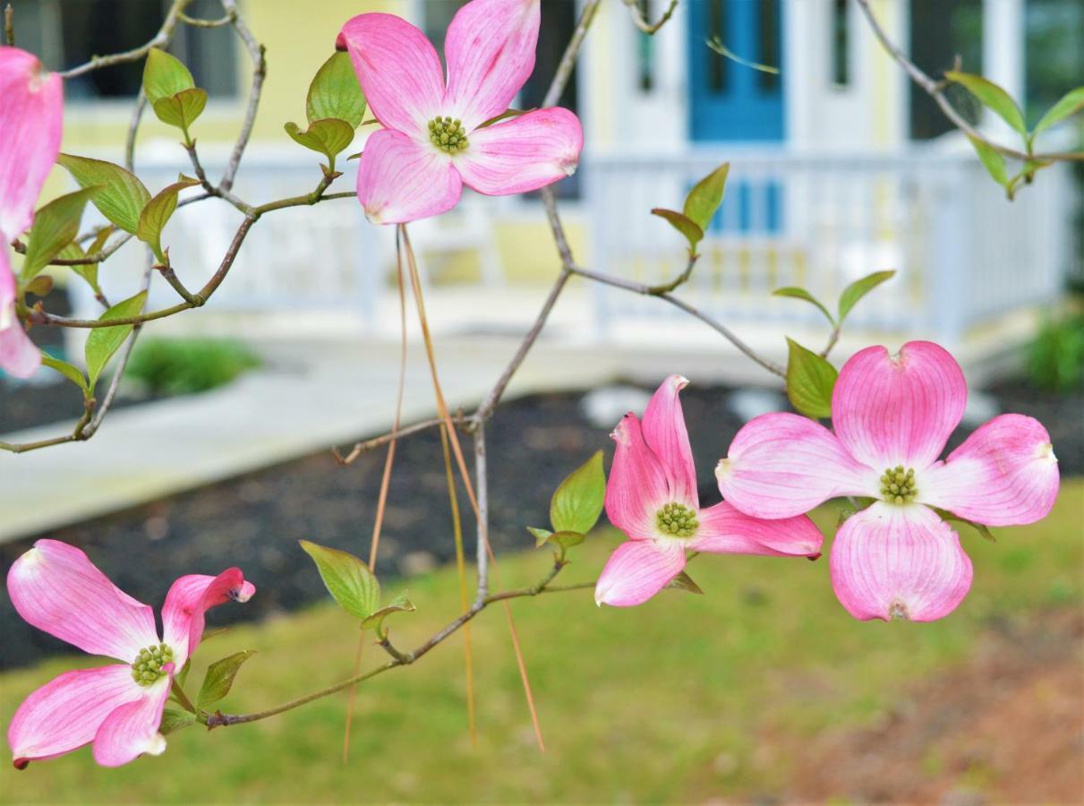 Meris Gardens B&B Bethany Beach Bagian luar foto