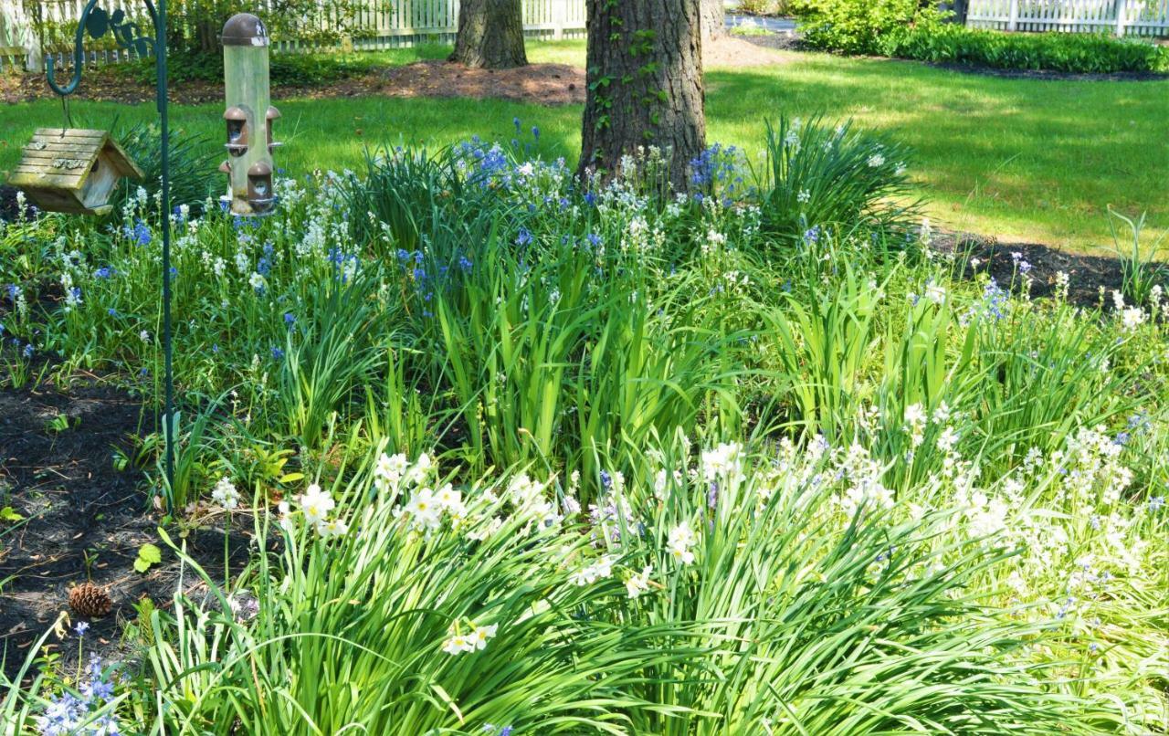 Meris Gardens B&B Bethany Beach Bagian luar foto
